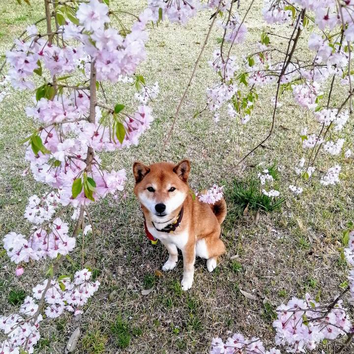 0edb922d 7249 4395 97c1 4f5013c8e3d7 1617347629989