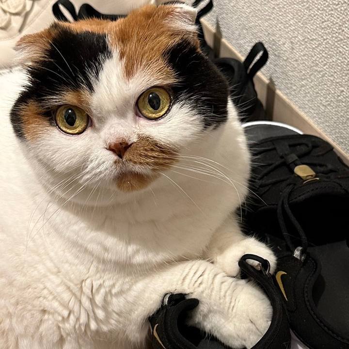 0edbc141 f55a 4b71 bd4e 0d64711a5511 1689719156252