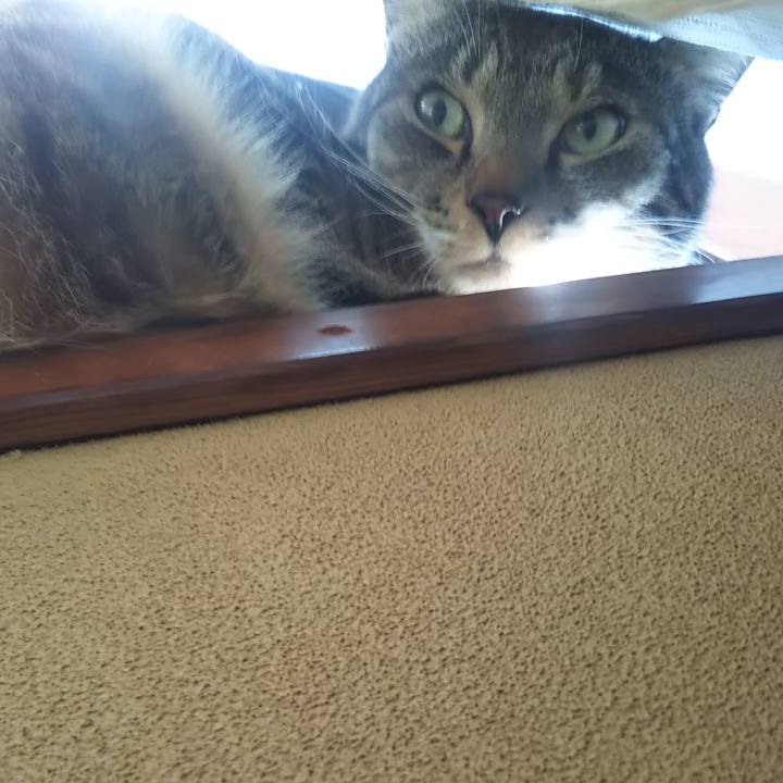 0edbc477 393a 4db0 bc27 7ae822d90ebd 1607126264929