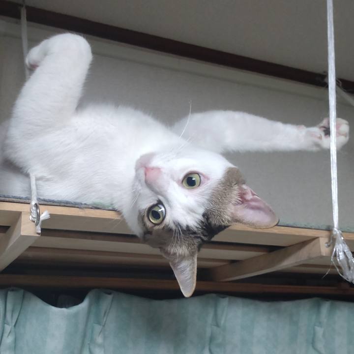 0edbdbb3 b147 4233 9867 44050bb79635 1704159146943