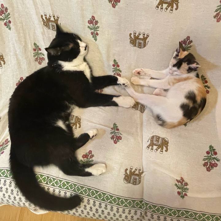 0edc2470 b572 4dfe 8d75 6e98245c67c6 1660313447687