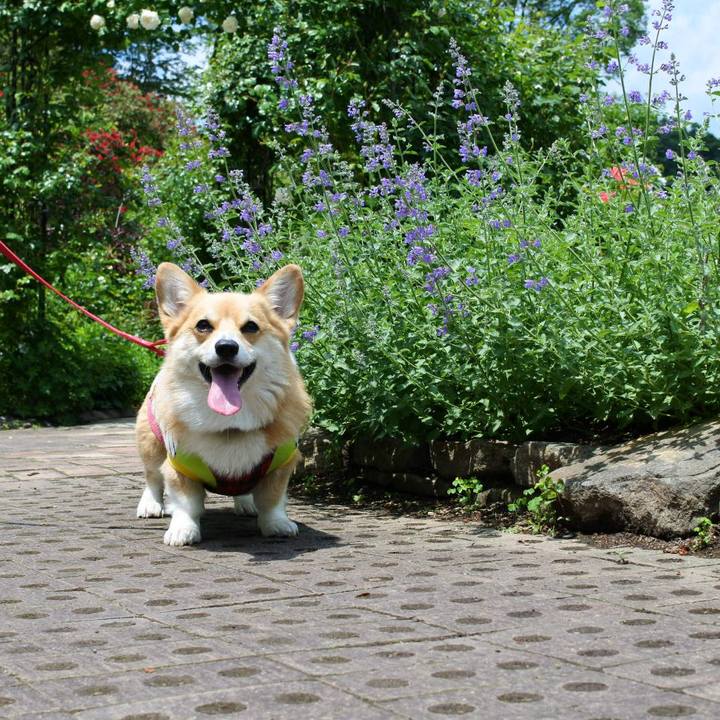 0edc7e2b c87d 4db6 90e8 e1ff6b9d421c 1559390102854