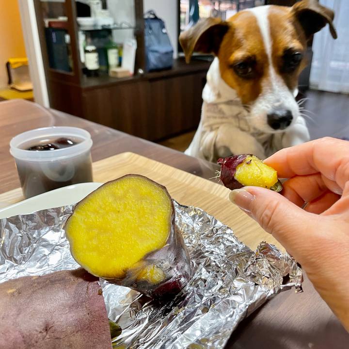 0edc8b74 6225 4fad a95a 537bc8adcadb 1651485848233