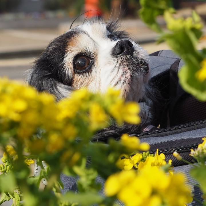 0edca2b2 95fa 419c b9ac 665c165f066f 1624248947165