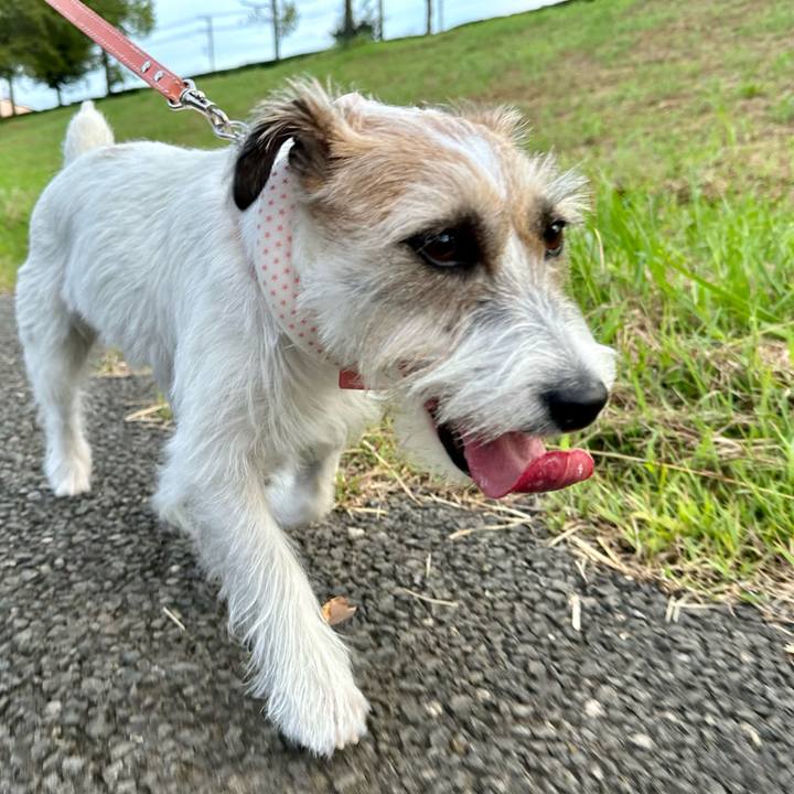 0edcac92 2ff2 482e bb89 7d579bf649c9 1693133952451