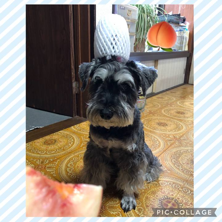 0edcc0ae cd93 440a 9248 caf34543985f 1690698673736