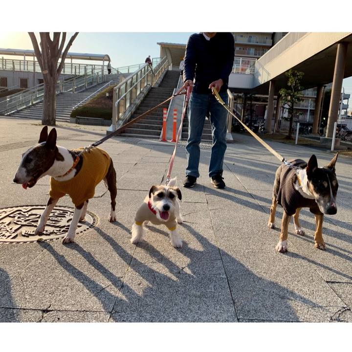 0edccba8 be14 4524 9660 37abe702f4a8 1613904884495