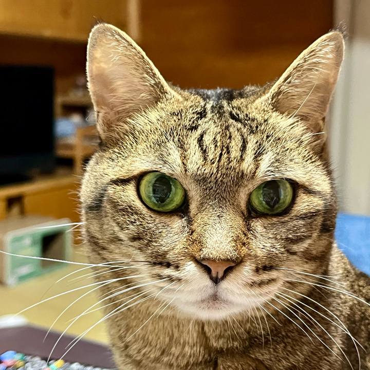 0edce30a b1e5 4d6b bedf c76eb0946433 1757729013290