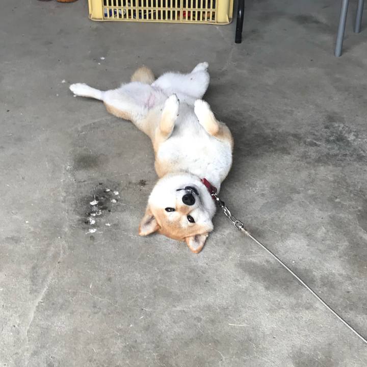 0edcec14 0b2f 490f 92ea ca84f1658eb3 1530679423965