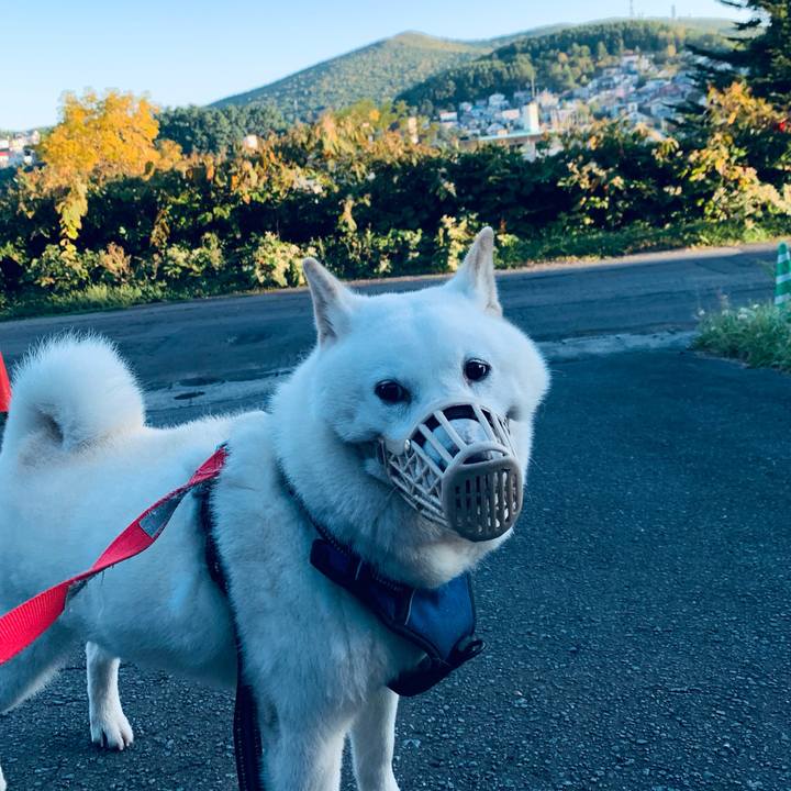 0edcfa0f b5e9 4141 9891 af3ddee8c735 1632691925814