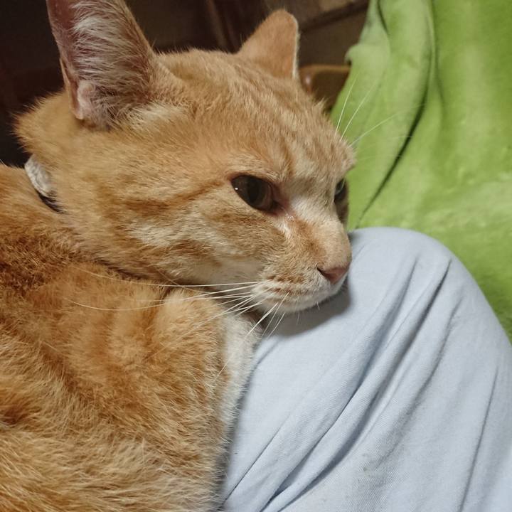 0edd19cf bb21 4588 8f98 0255101902c7 1589279639807