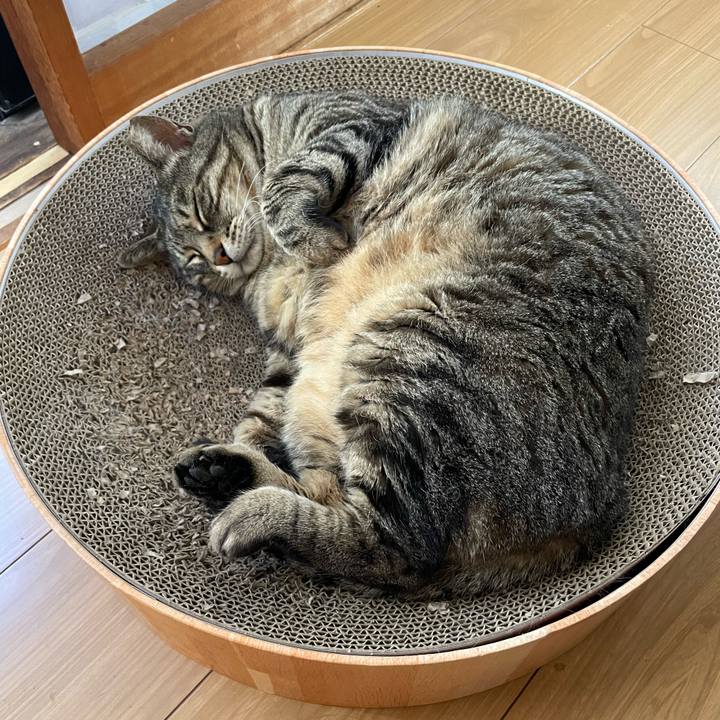 0edd3f73 c786 4196 be2a 46368e58074e 1653699937571