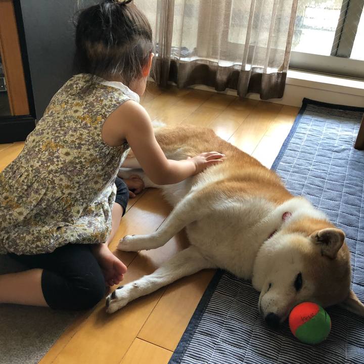 0edd6246 8e9f 444d 9869 625ab1bbac1e 1596320788675