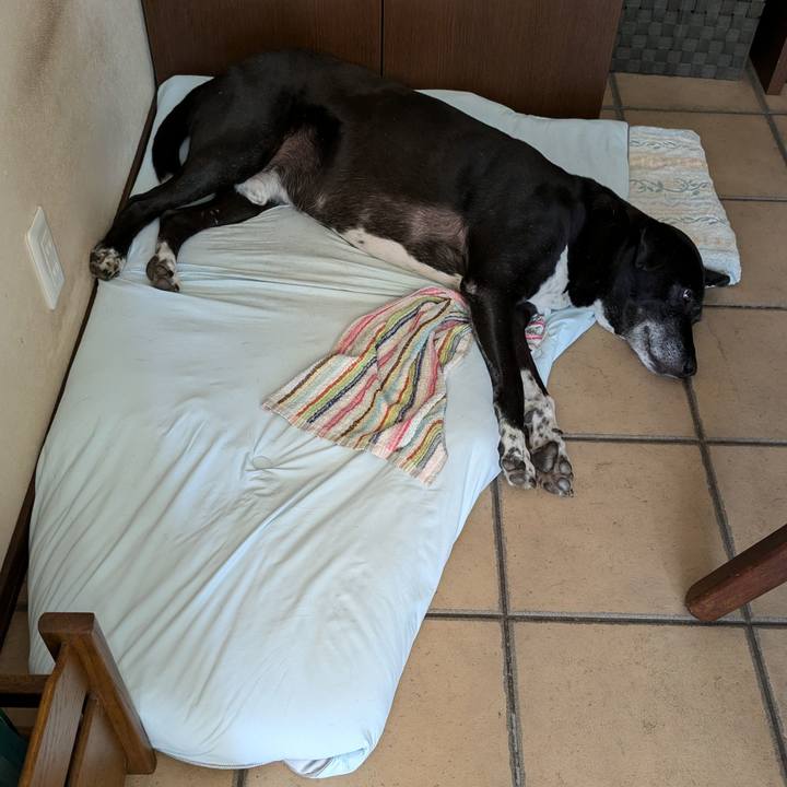 0edd94f9 b46f 435c a2ed 8375b003127c 1722728315036