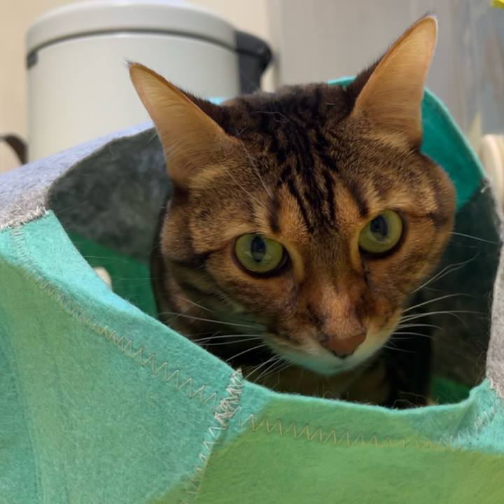 0edd99e8 c307 4467 a77c 47543c4af308 1673086547202