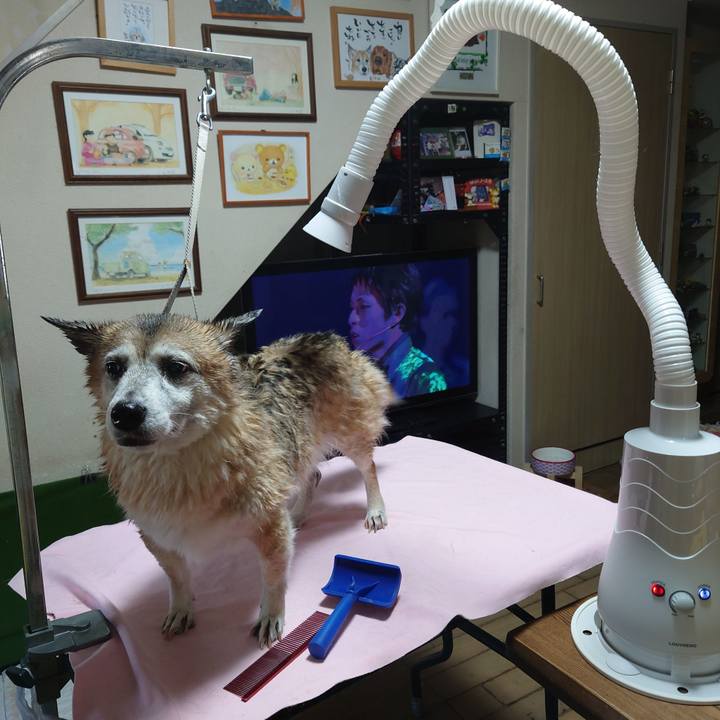 0eddaae1 65be 4cd0 be5d 2e0232280757 1676795386131