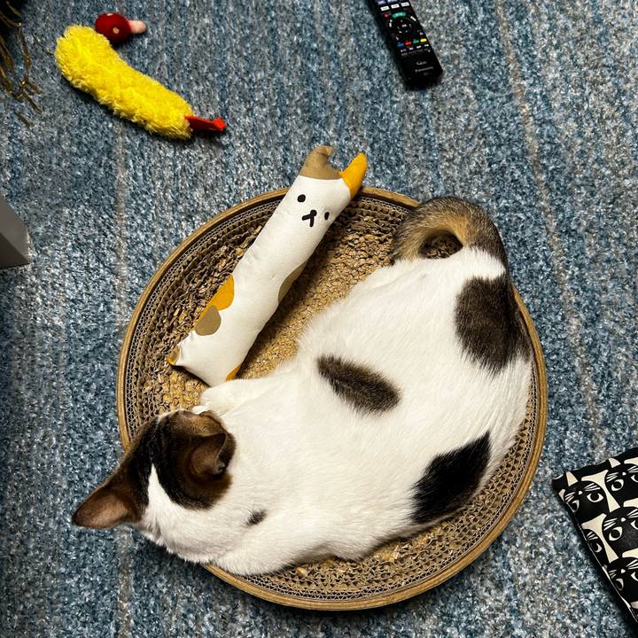 0ede3ad4 fce2 4218 be21 e60352135d30 1758545319855