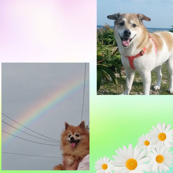 0ede4926 6a4a 4506 97c4 6d10f6fa0522 1595250651041