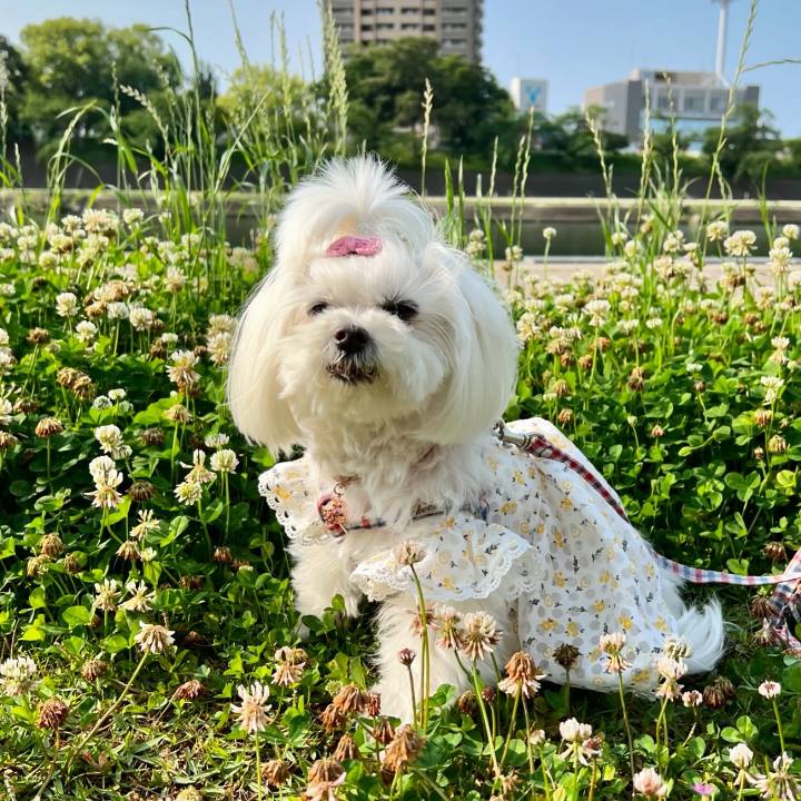 0ede5965 e043 4596 bfa7 85c7eec41cfd 1747893443696