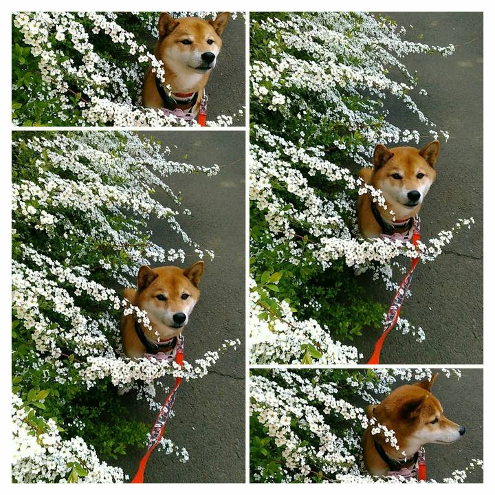 0ede5cee ac1e 4ee9 8e9e 5722c52ab81b 1553651501351