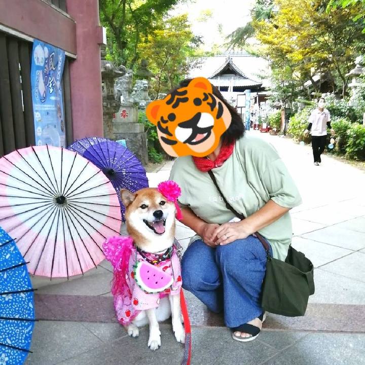 0ede5f67 87b8 4bb0 96a2 caf84d8cfa37 1659880730375