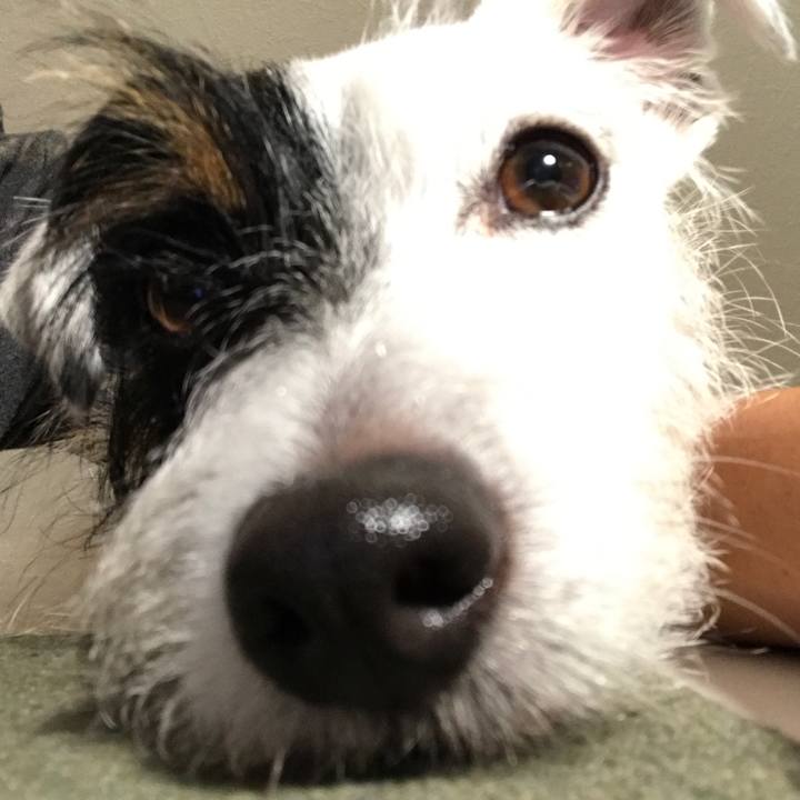 0edf1b8c b5b9 46e6 9ade b2b08044fb2e 1538302108419