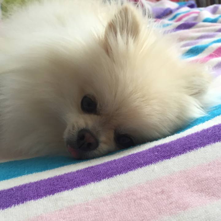 0edf6334 1760 4598 9df6 76f5726d9916 1508024226986