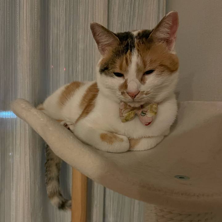 0edf6bc6 5723 4411 9587 bf4d9a52d45f 1635605617072