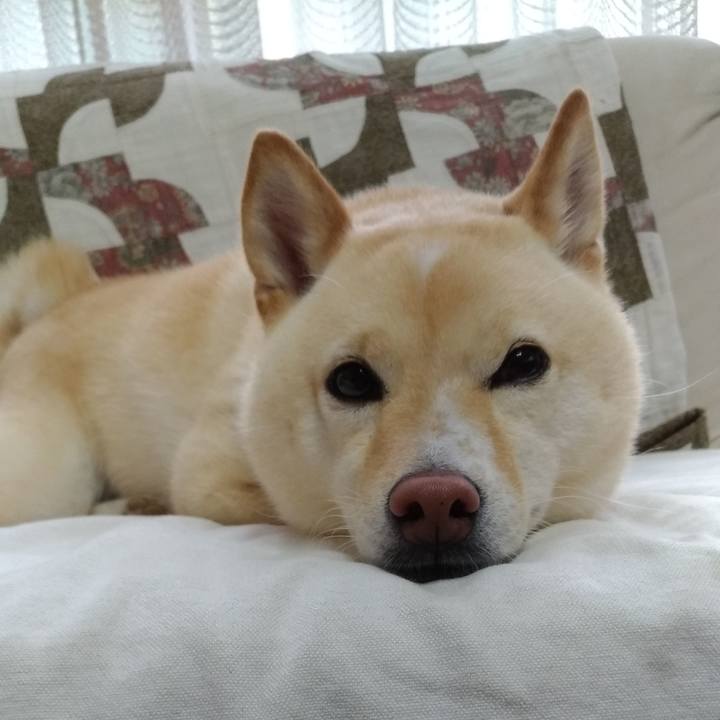 0edf71f1 837c 41d6 a197 0e047067a84f 1594079305587