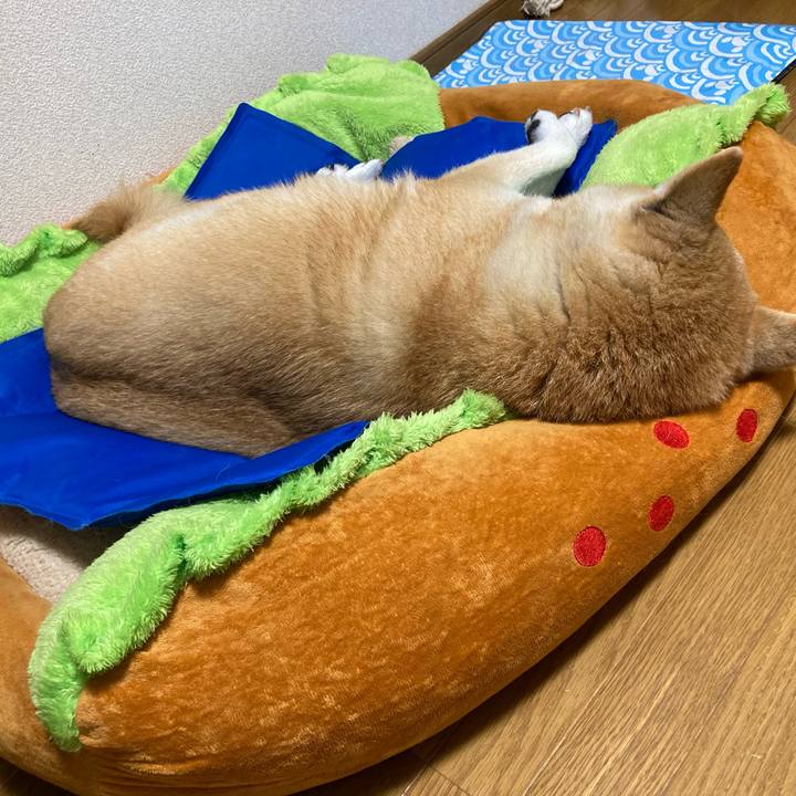 0edf7ed7 77fd 4af6 be66 cd6651b68bc8 1633522393910