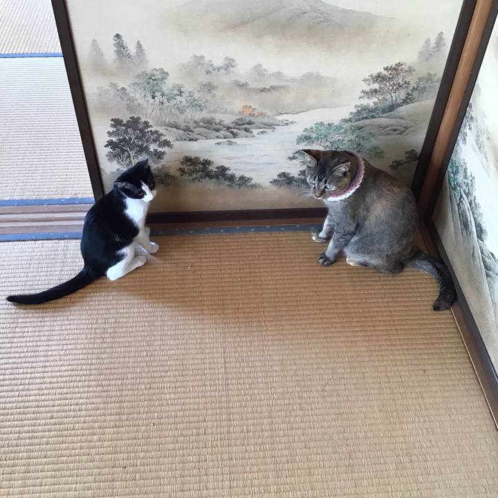 0edfc53a 2268 4cc0 9cde 84ebdda9e208 1627089645828