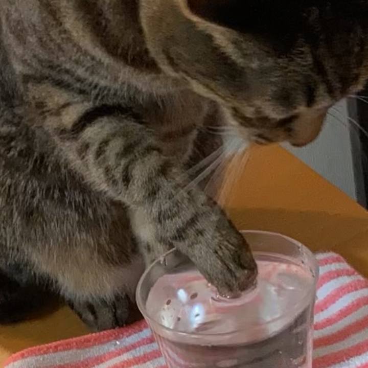 0edfcdbb 9127 4827 abfa 6c4f7b300413 1619003175742