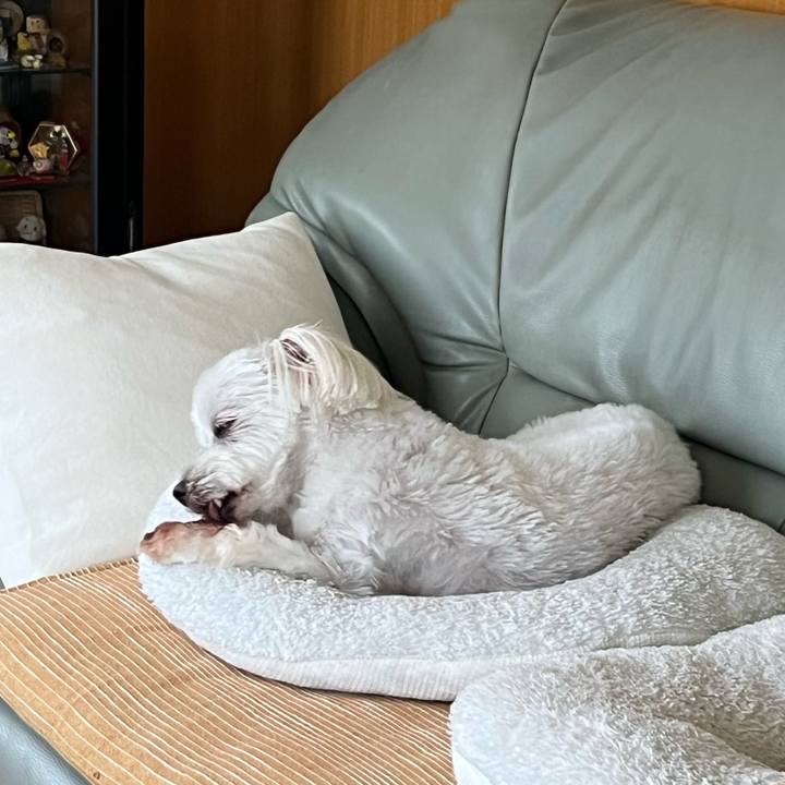 0edfd182 39fe 4736 8d46 7fb476efc200 1719296538427