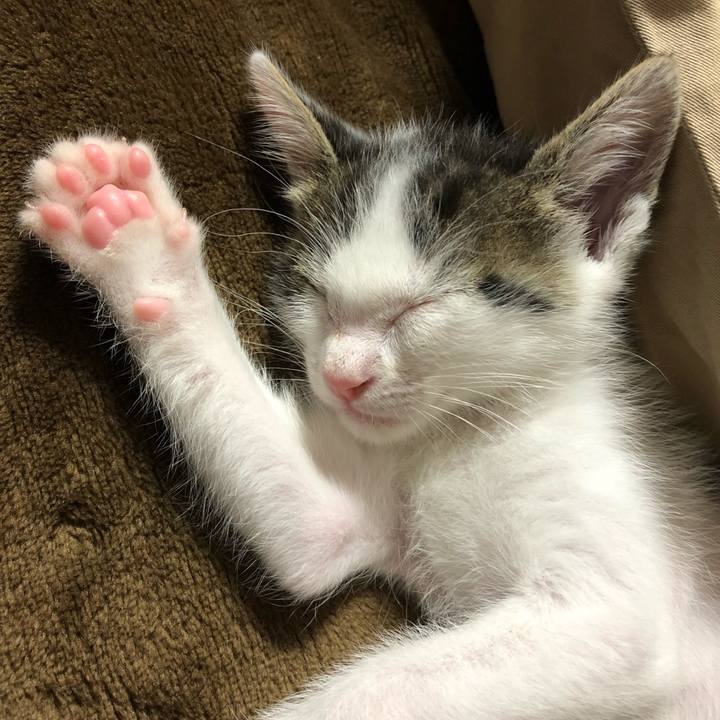 0ee03c3c 7b8f 4120 a0c9 1178b0ed4d8a 1561518198780