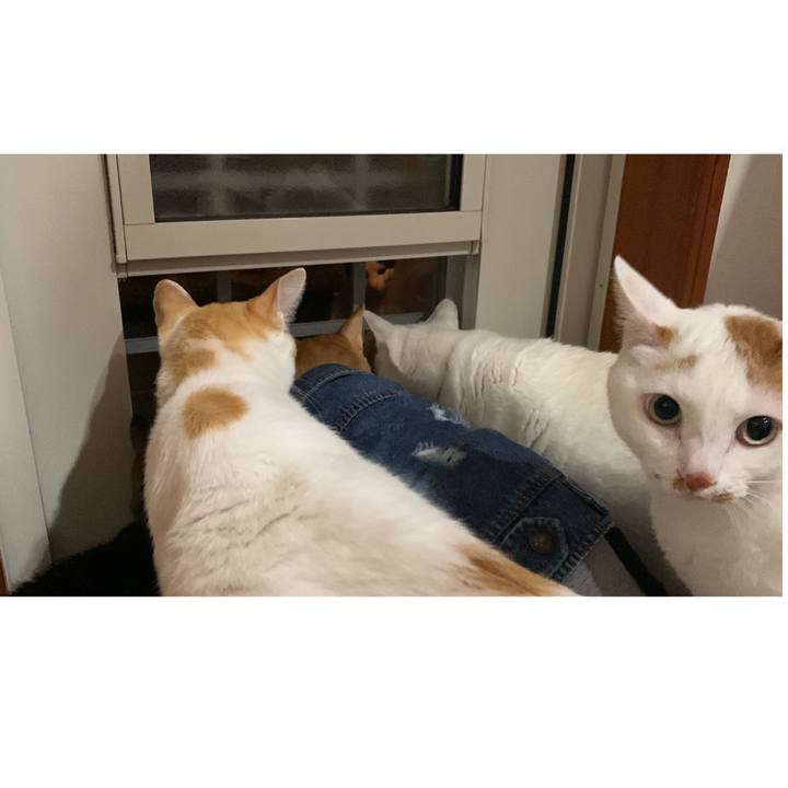 0ee042f2 ad14 41a2 8245 ff9b305738ff 1650717232104