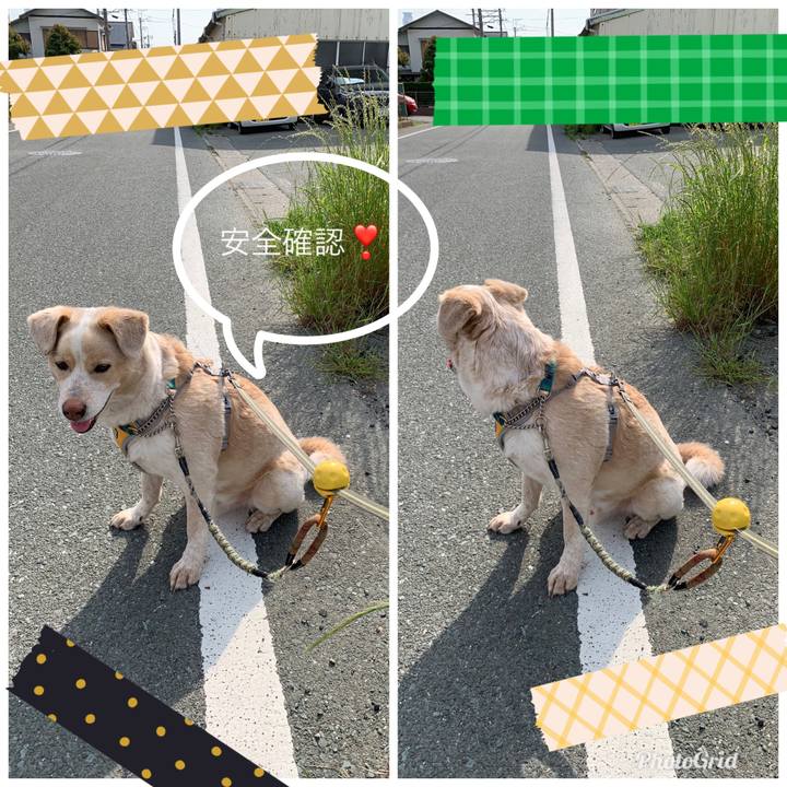 0ee0547f 8ba6 4ced 83c6 7e80a5f632d8 1557718387880