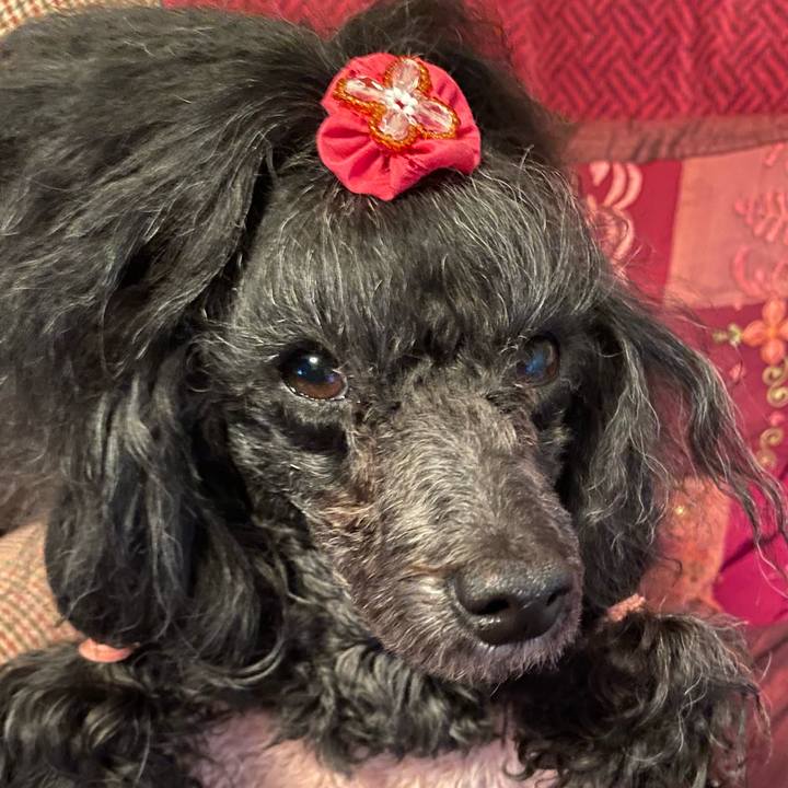 0ee06b12 7978 4448 b960 1549f20d9c12 1670371539072