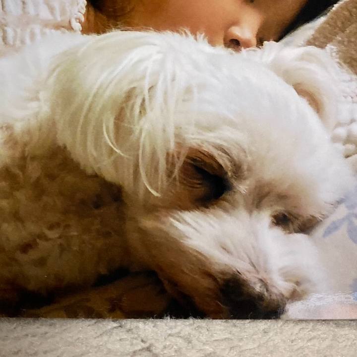 0ee06d25 1437 461b 8820 fe5069add4b9 1704986818216