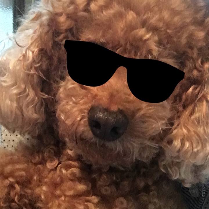 0ee0ad2e 588e 4433 93fc f9ece24dc30b 1531055287732