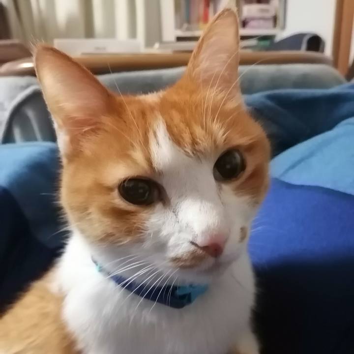 0ee0f240 7cdc 4fcc 9f4f 659a644aa76d 1613337700977