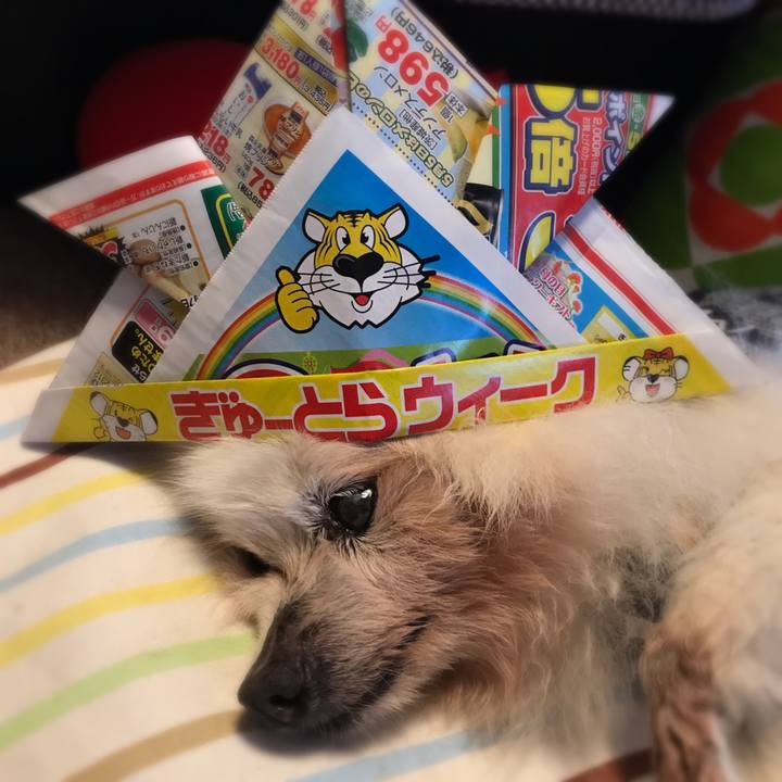 0ee11a75 3a06 4401 8736 3b3ef63456cc 1525482444492