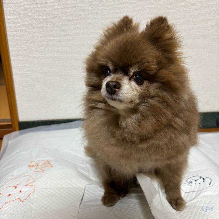 0ee13113 8b15 44aa a51c d8f34f141529 1764931950983