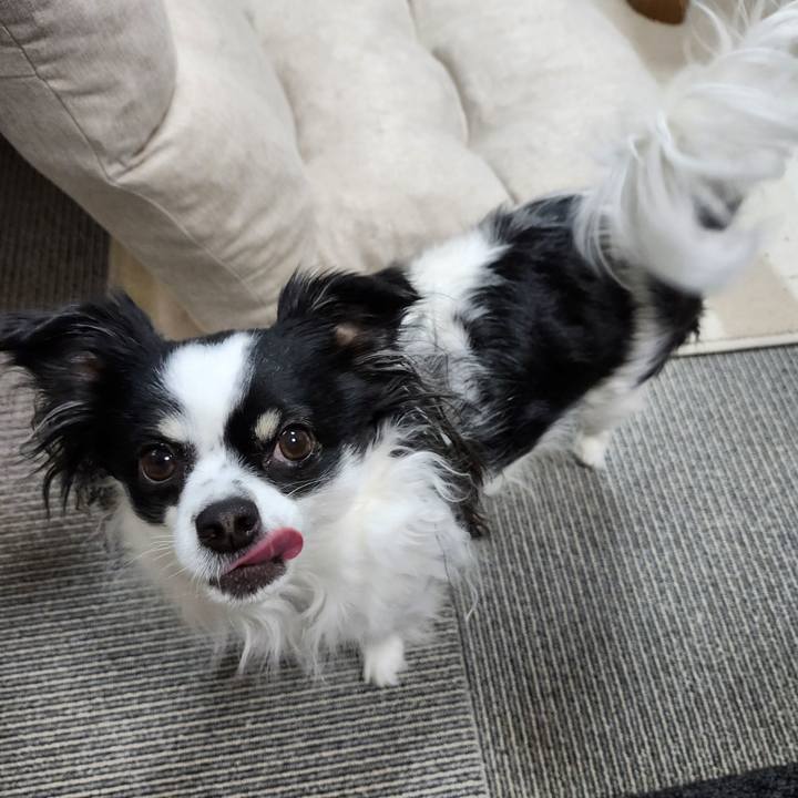 0ee13b04 86c7 4c09 bf36 b63e5d2f76ff 1773271451387