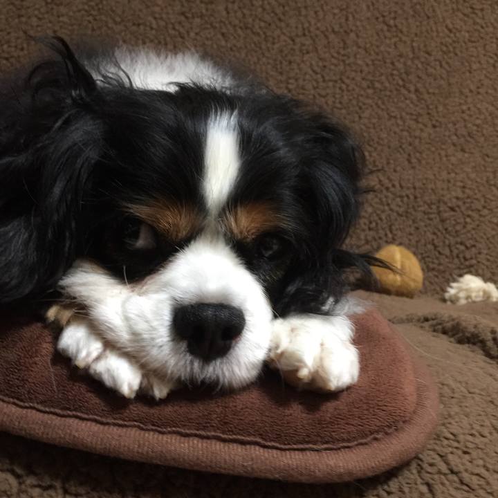 0ee1454b c492 4bd3 a75e 4268b72b80c0 1521620281029