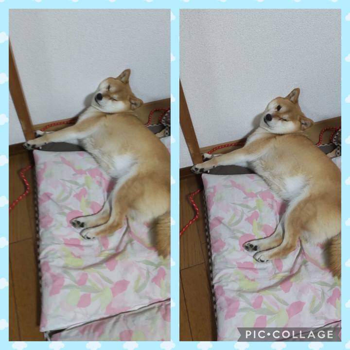 0ee16358 690d 431e 995b a5f61f505585 1751638872304