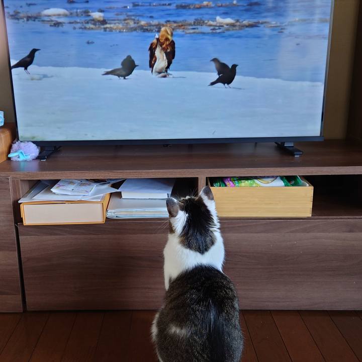 0ee16c17 7c1c 4f9f a0ee 0f71837bb691 1746919515716