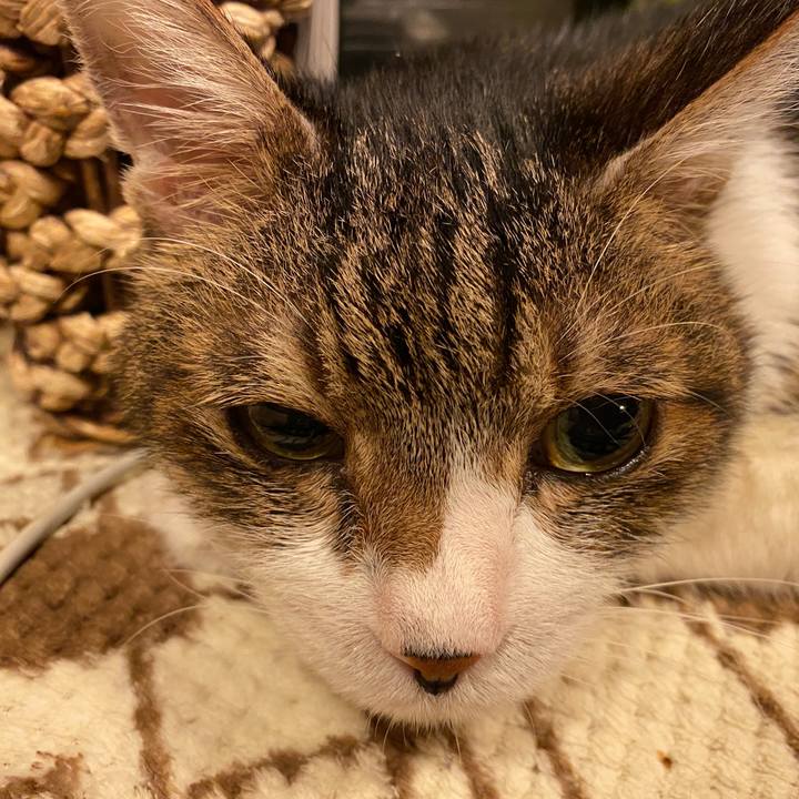 0ee195b7 0a36 4c60 a782 388dda17ce73 1616301728682