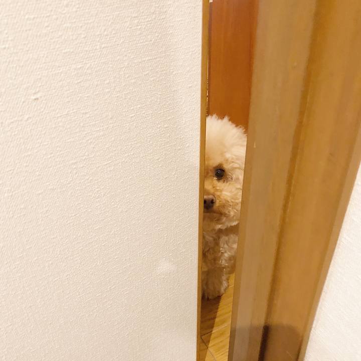 0ee19911 e107 4959 9233 f71e225855b3 1514538807973