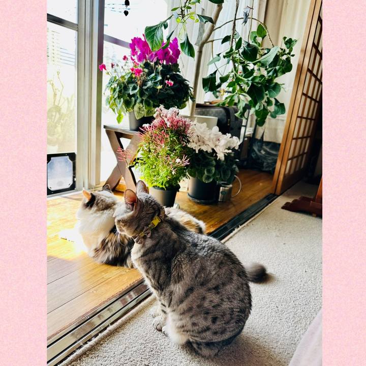 0ee1a2bd f45d 494a 85ed e6a9a4b740b5 1771814248136