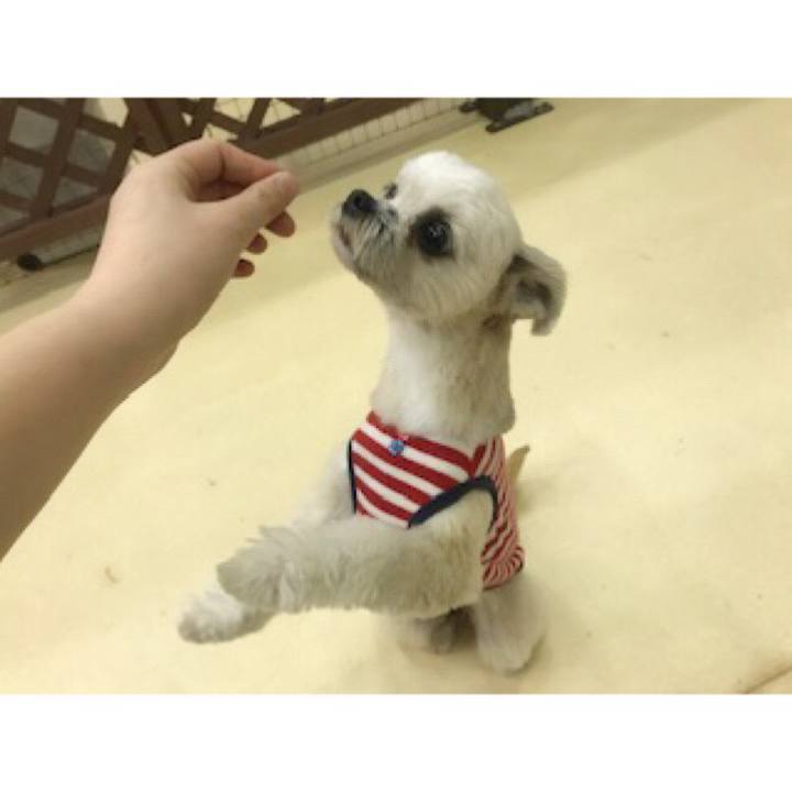 0ee1bc20 9de6 4eed ace9 b07145492e20 1552300456481